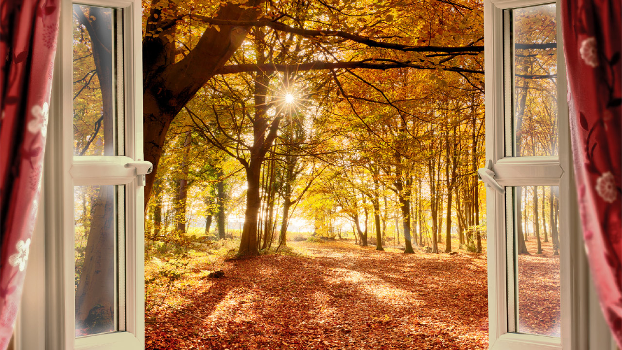 Image for OC HOUSING REPORT: WINDOW OF OPPORTUNITY article